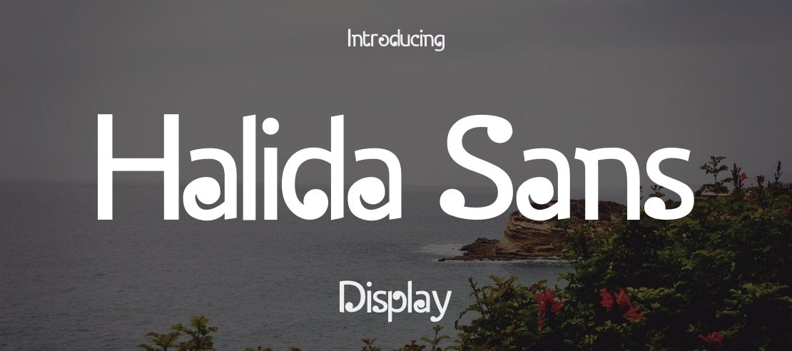 Halida Sans Font