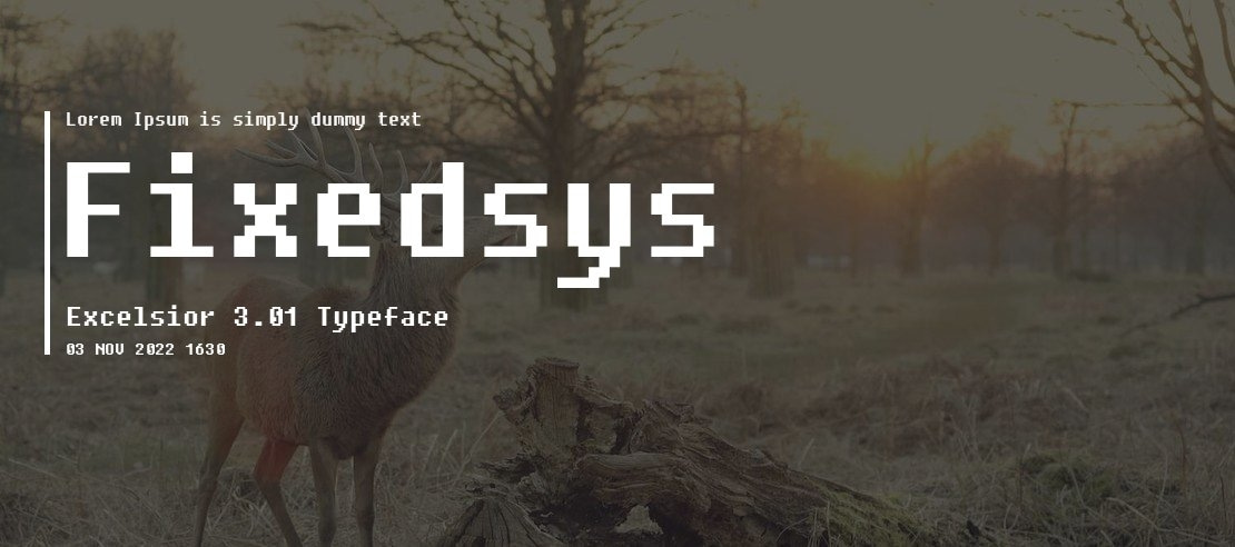 Fixedsys Excelsior 3.01 Font