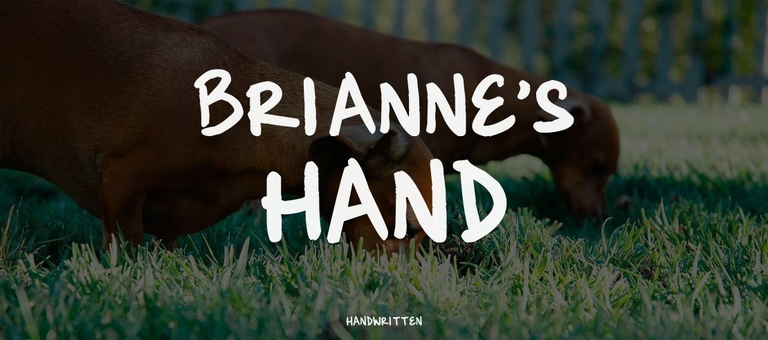 Brianne's hand Font