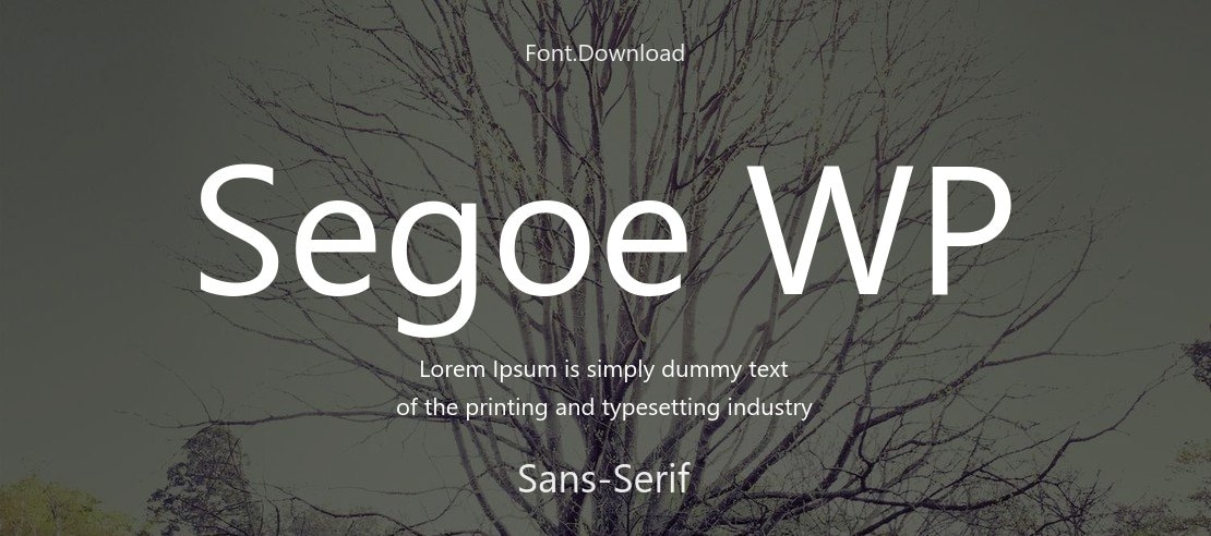 Segoe WP Font