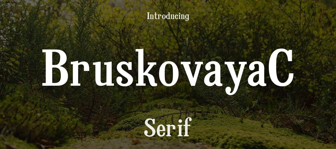 BruskovayaC Font