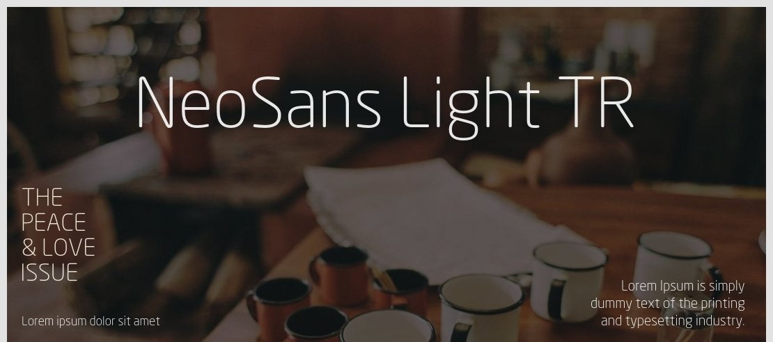 NeoSans Light TR Font