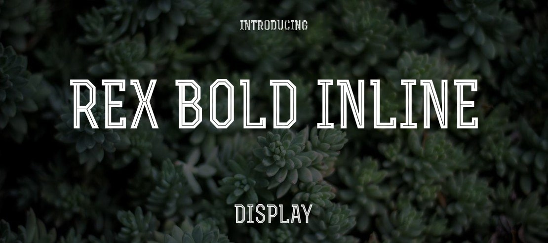 Rex Bold Inline Font