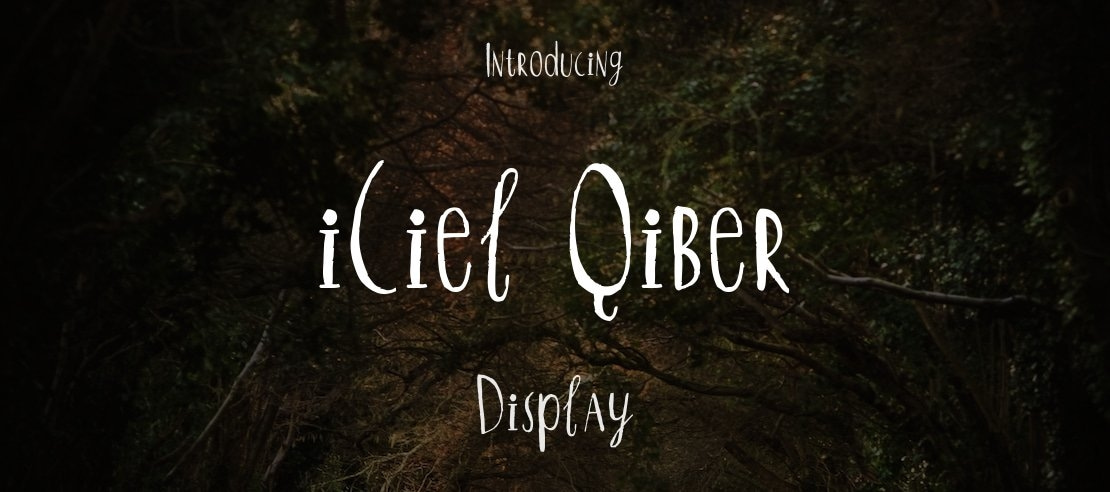 iCiel Qiber Font