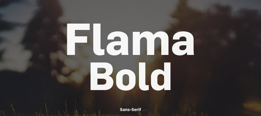 Flama Bold Font