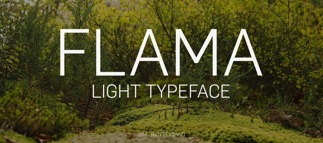 Flama Light Font