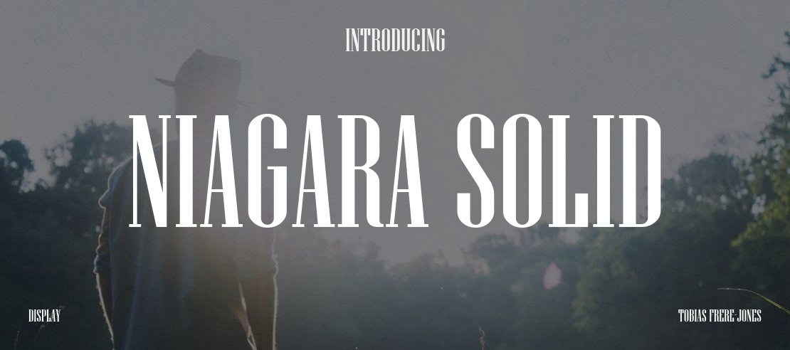 Niagara Solid Font