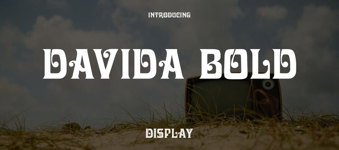 Davida Bold Font Family