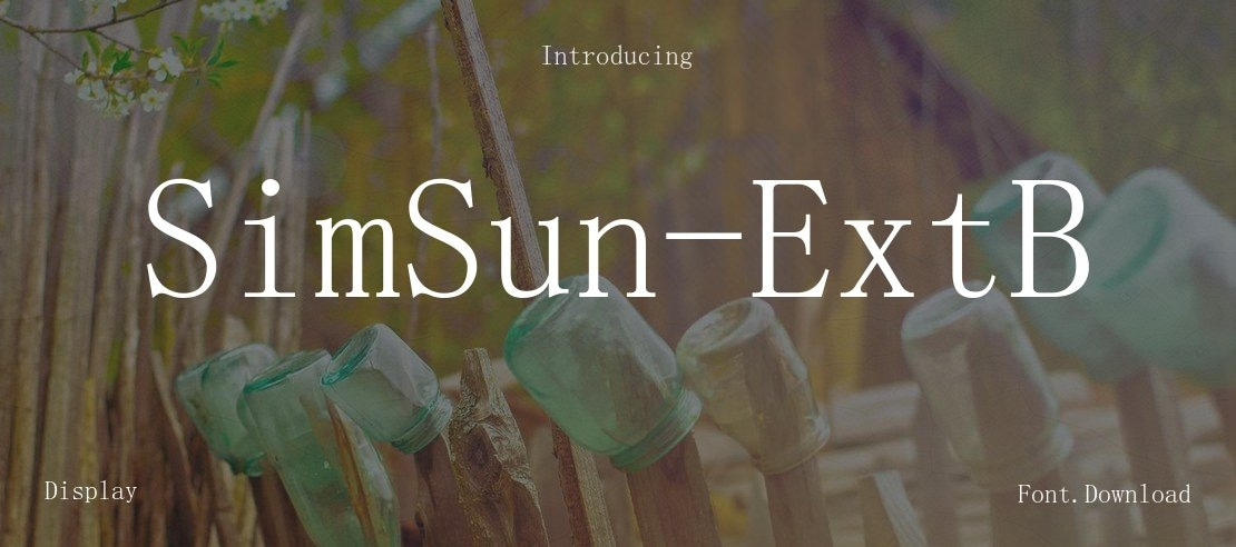 SimSun-ExtB Font