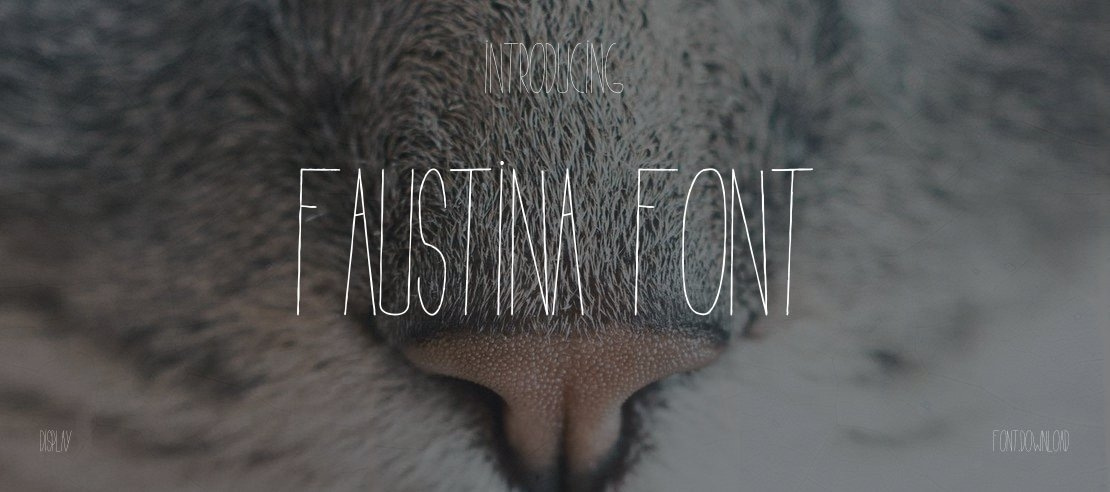 Faustina Font