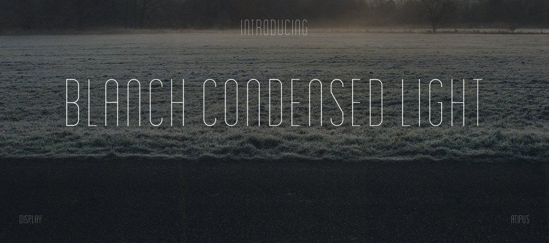 Blanch Condensed Light Font