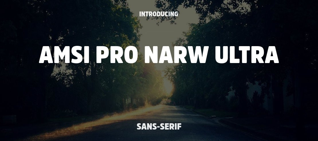 Amsi Pro Narw Ultra Font