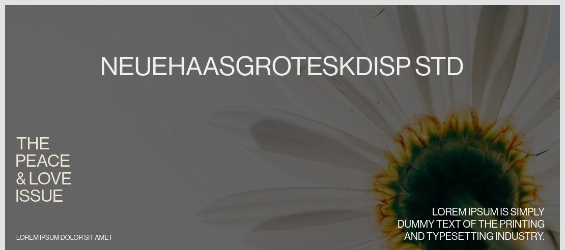 NeueHaasGroteskDisp Std Font