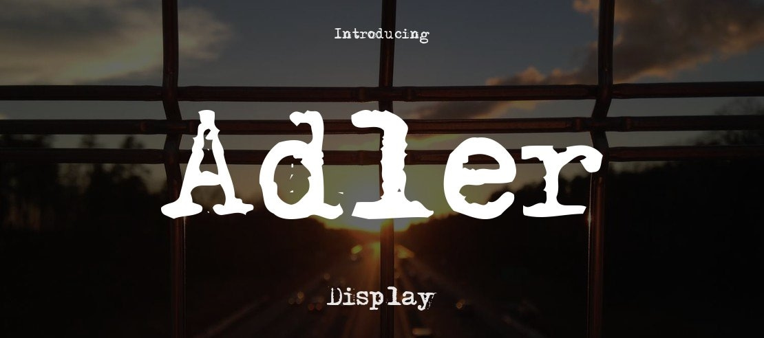 Adler Font