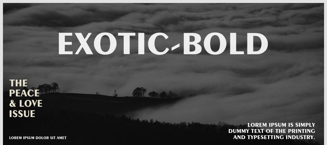 Exotic-Bold Font