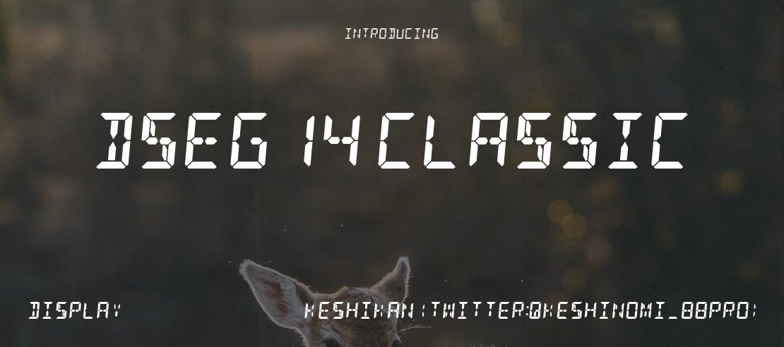 DSEG14 Classic Font