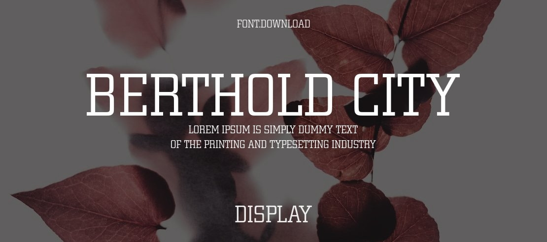 Berthold City Font Family