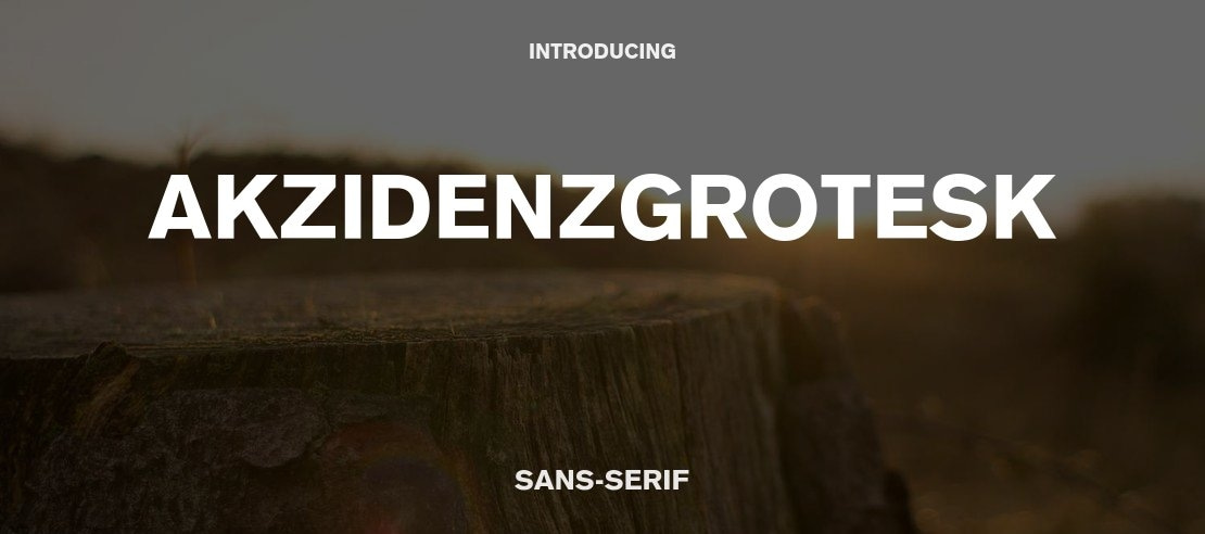 AkzidenzGrotesk Font