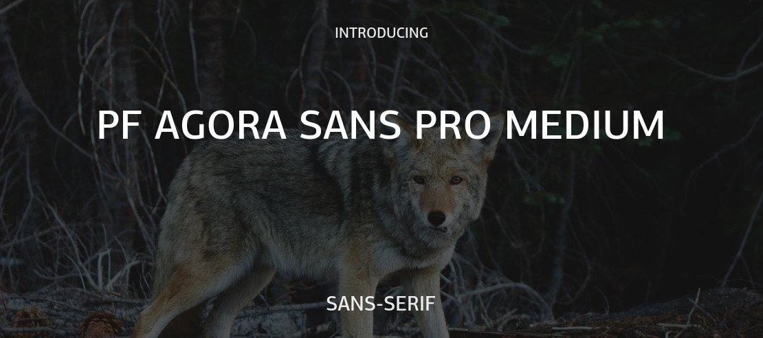 PF Agora Sans Pro Medium Font Family