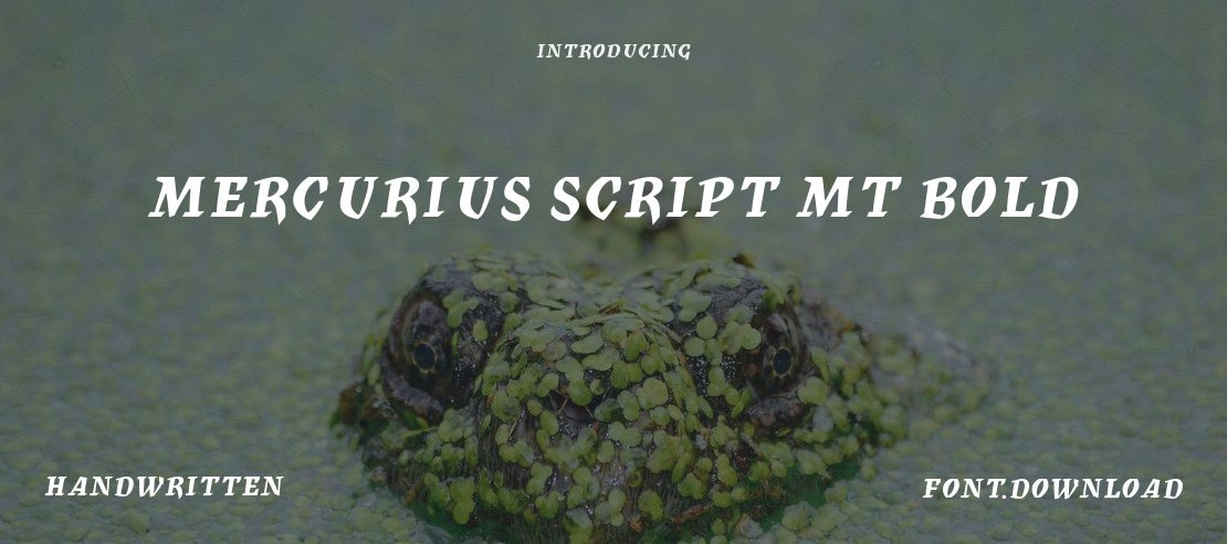 Mercurius Script MT Bold Font