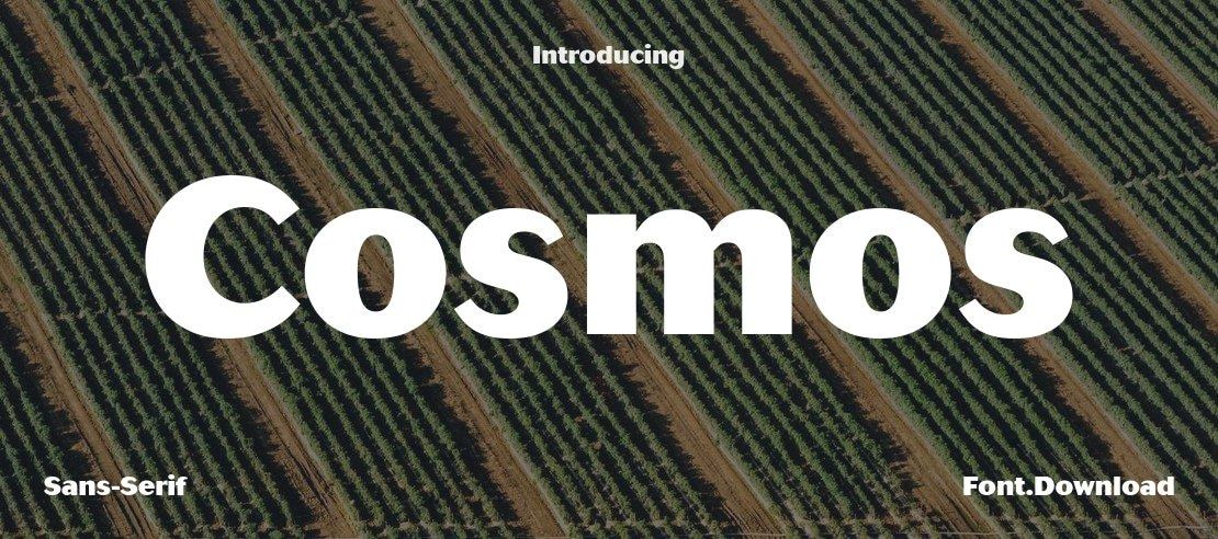 Cosmos Font Family
