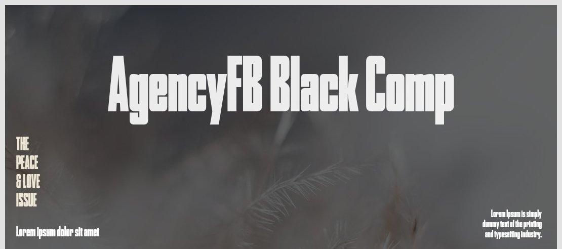 AgencyFB Black Comp Font Family