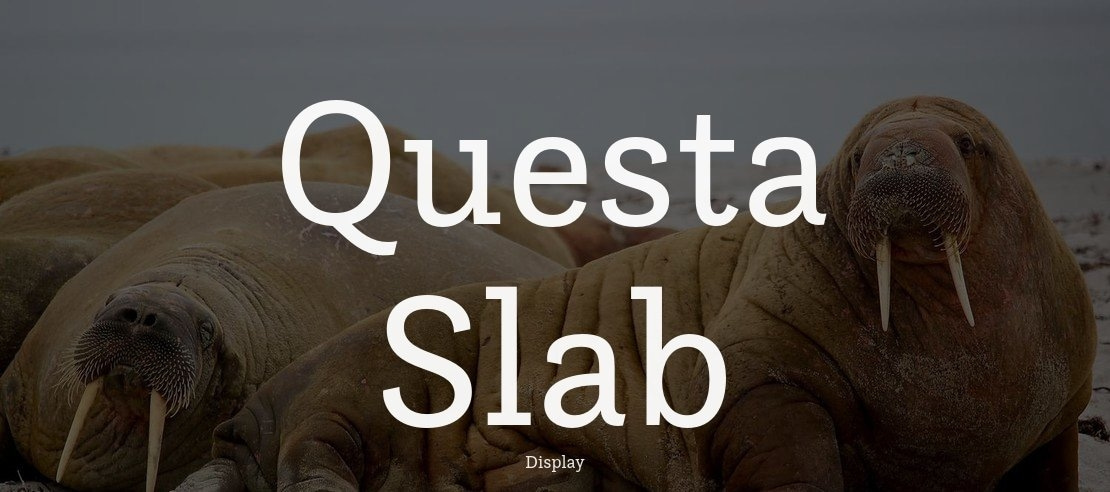 Questa Slab Font