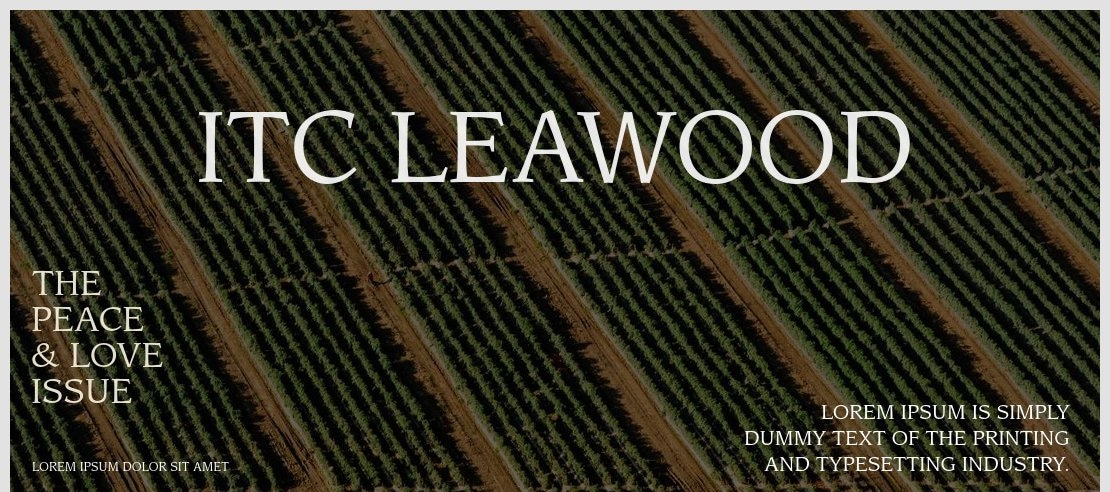 ITC Leawood Font Family