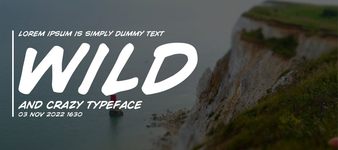 Wild And Crazy Font