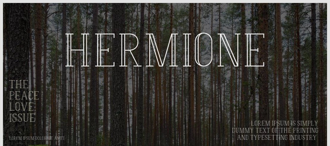 Hermione Font