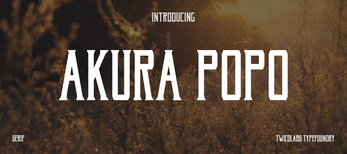 Akura Popo Font Family