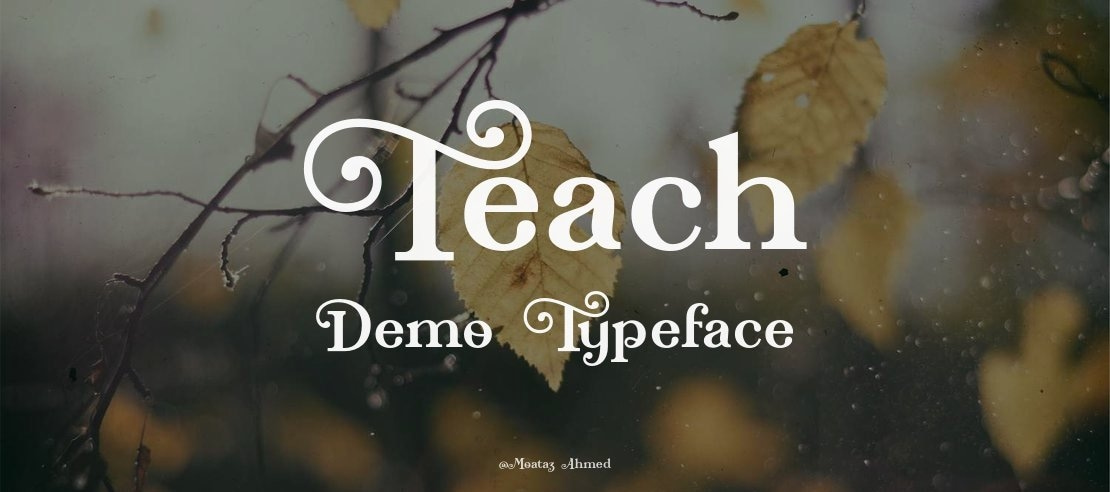 Teach Demo Font