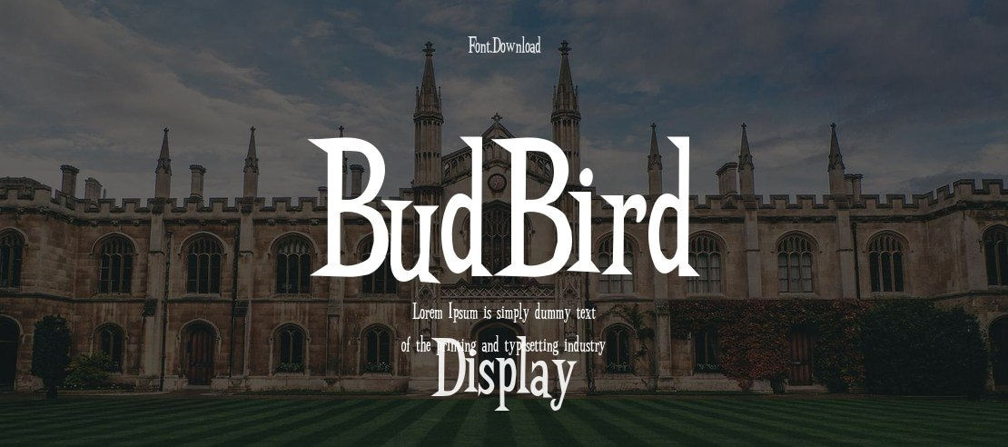 BudBird Font