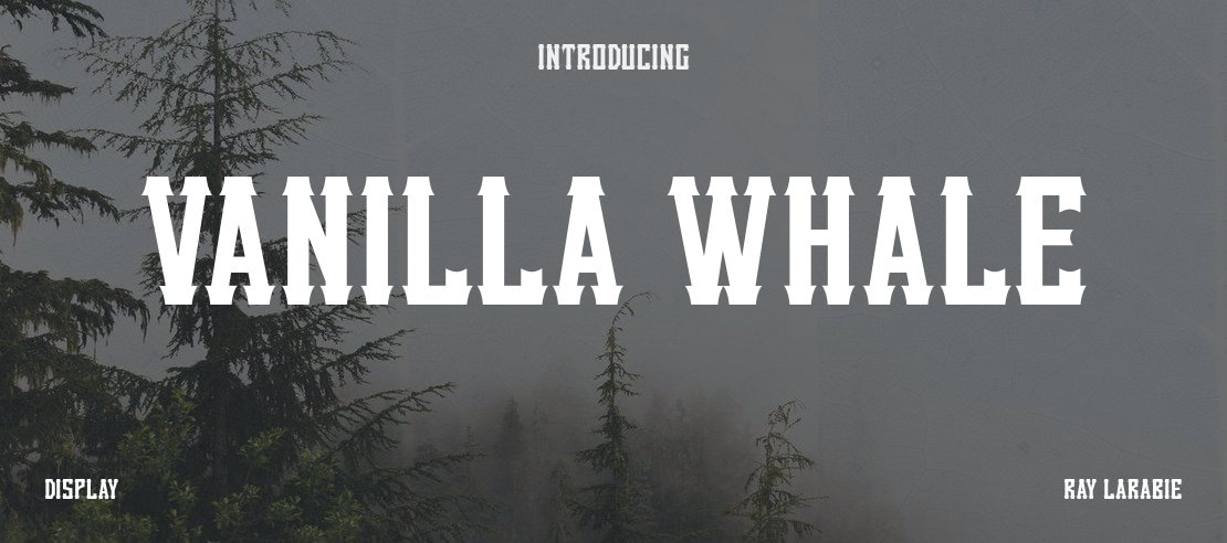 Vanilla Whale Font