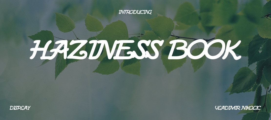 Haziness Book Font Family