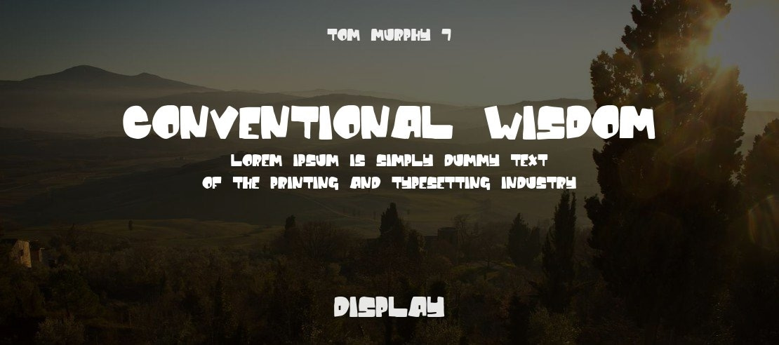 Conventional Wisdom Font