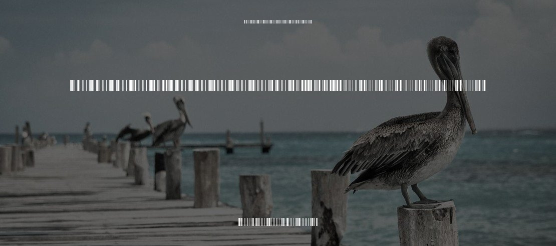 Libre Barcode 39 Extended Font