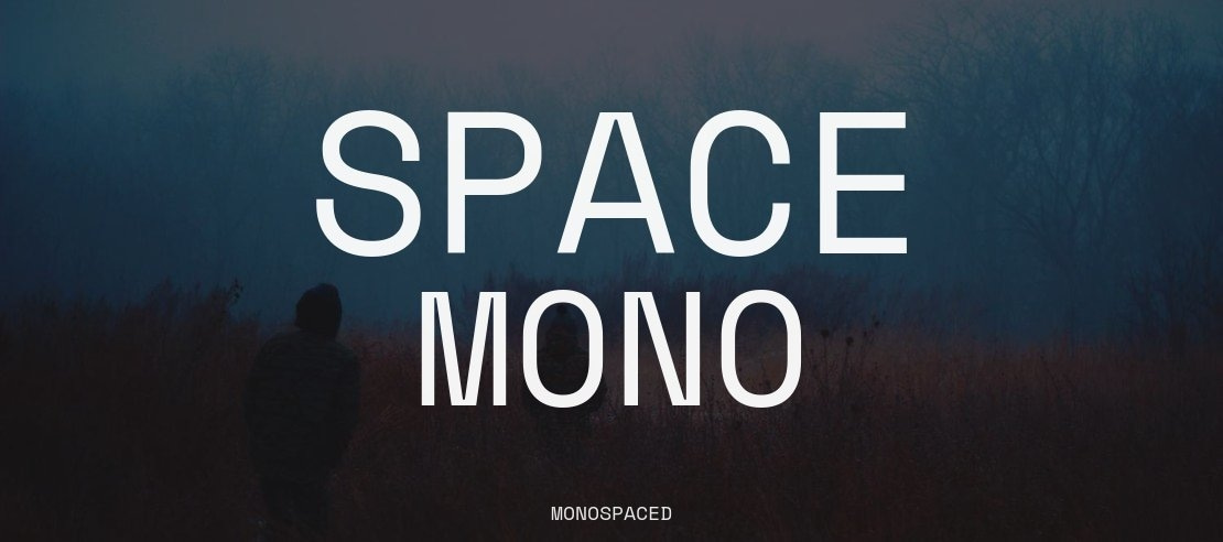 Space Mono Font Family