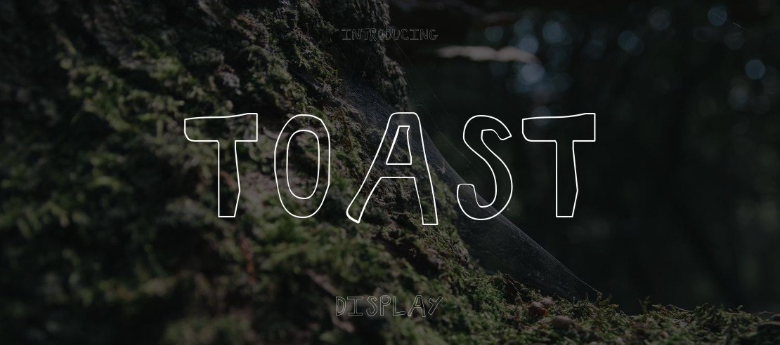 Toast Font