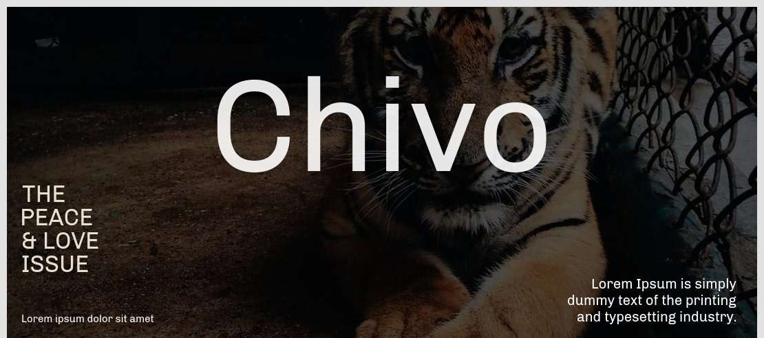 Chivo Font Family