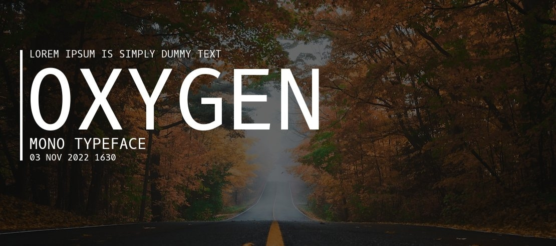 Oxygen Mono Font