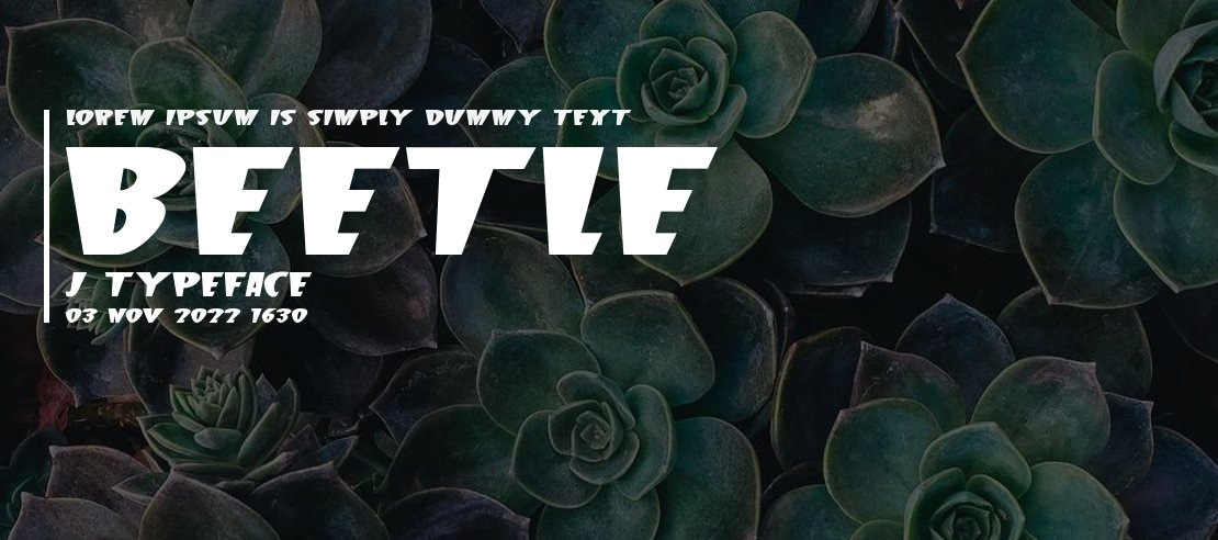 Beetle J Font