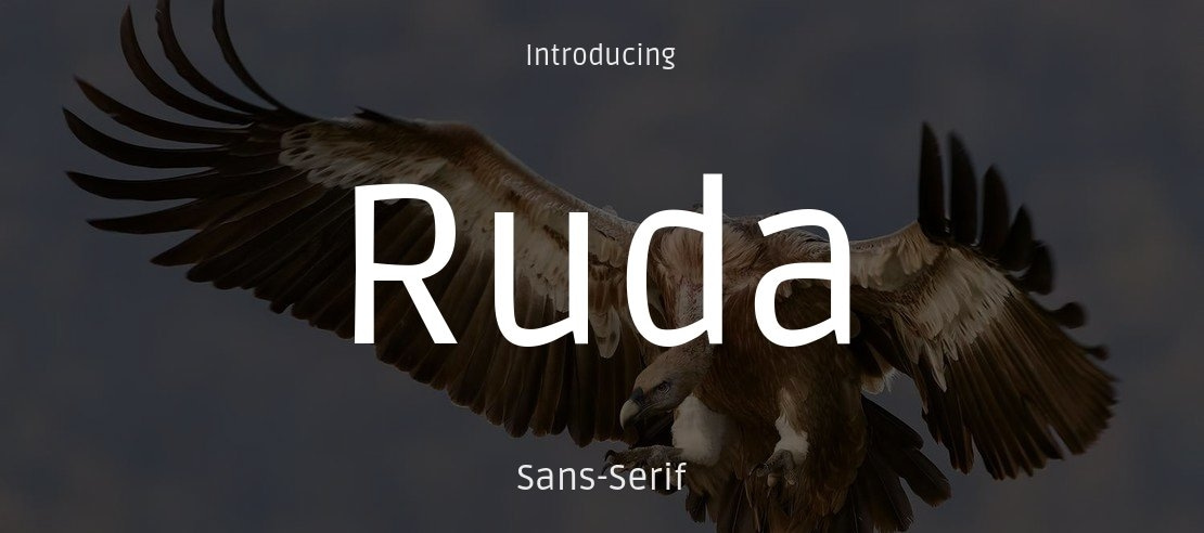 Ruda Font Family