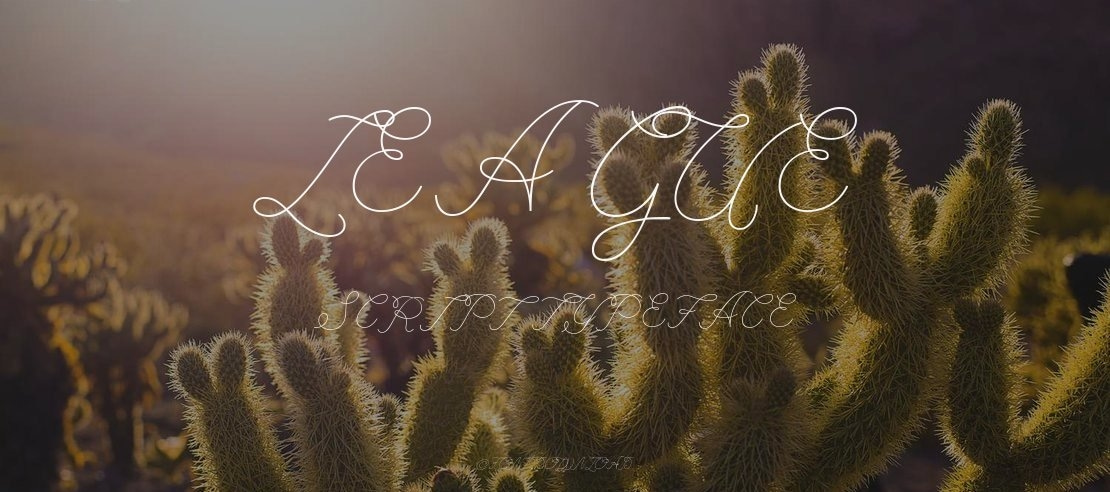 League Script Font Family