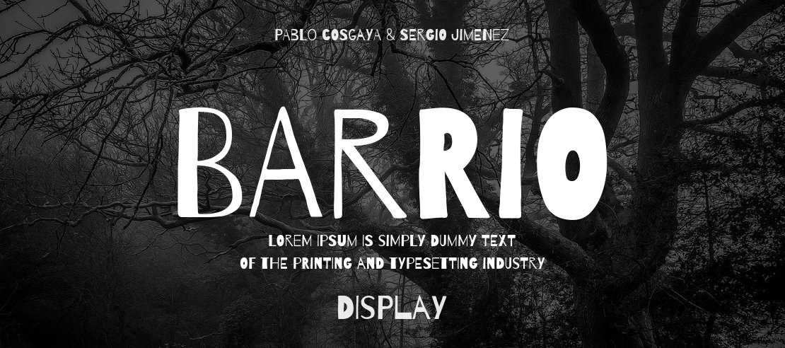 Barrio Font