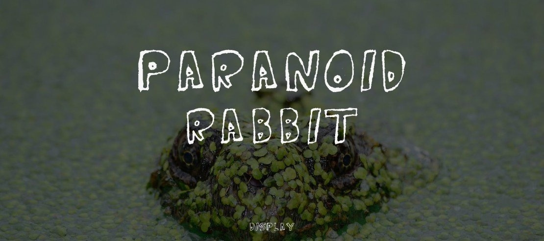 Paranoid Rabbit Font