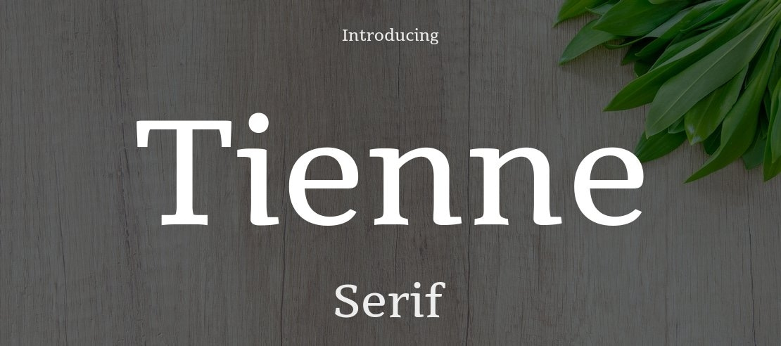 Tienne Font Family