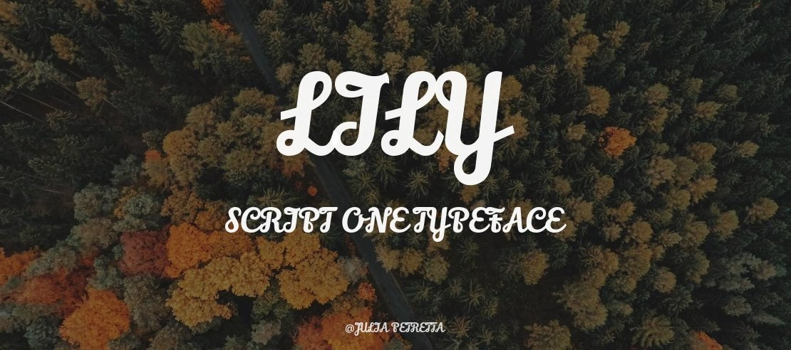 Lily Script One Font