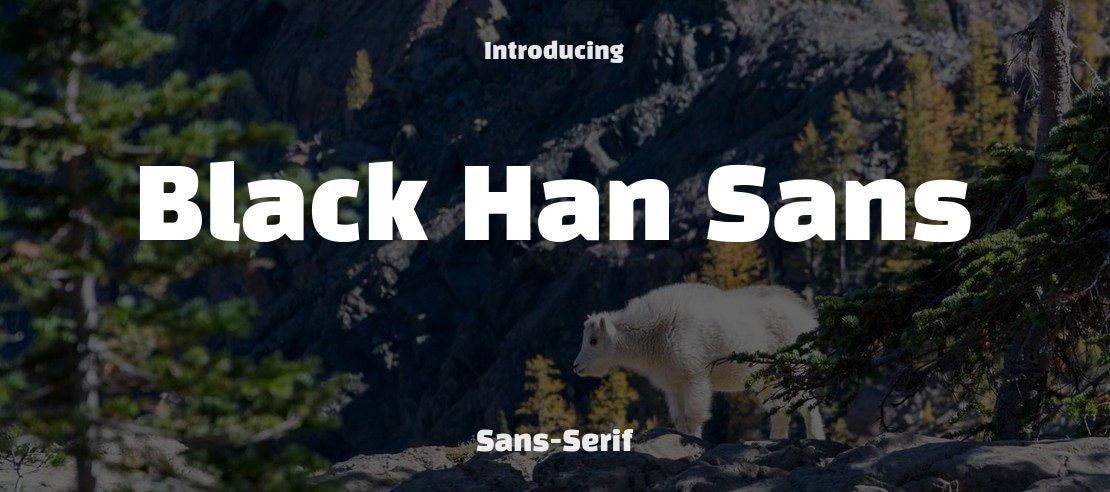 Black Han Sans Font