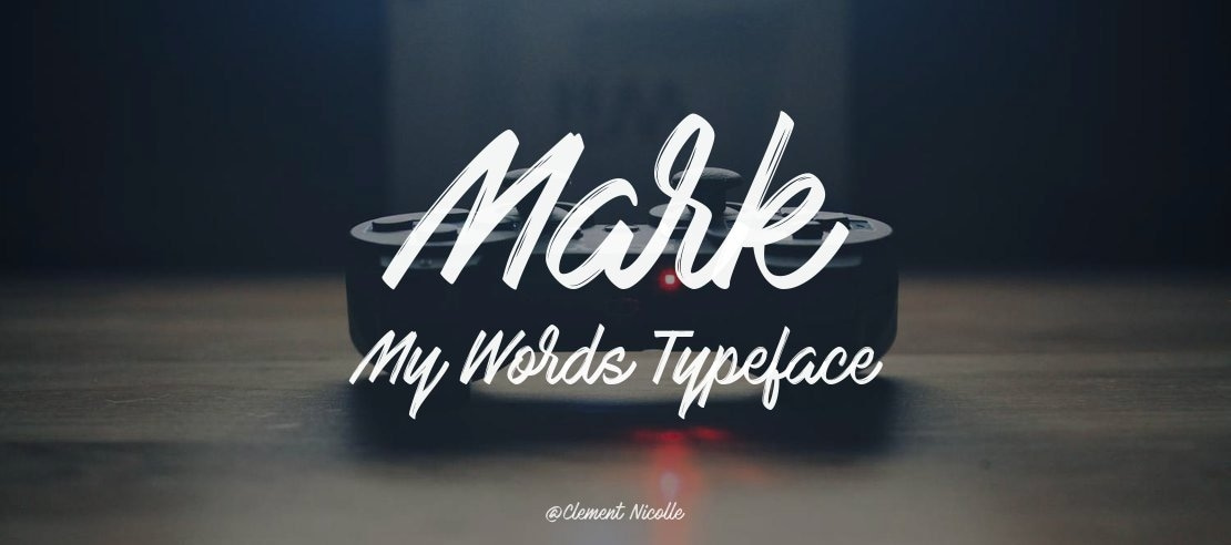 Mark My Words Font Family